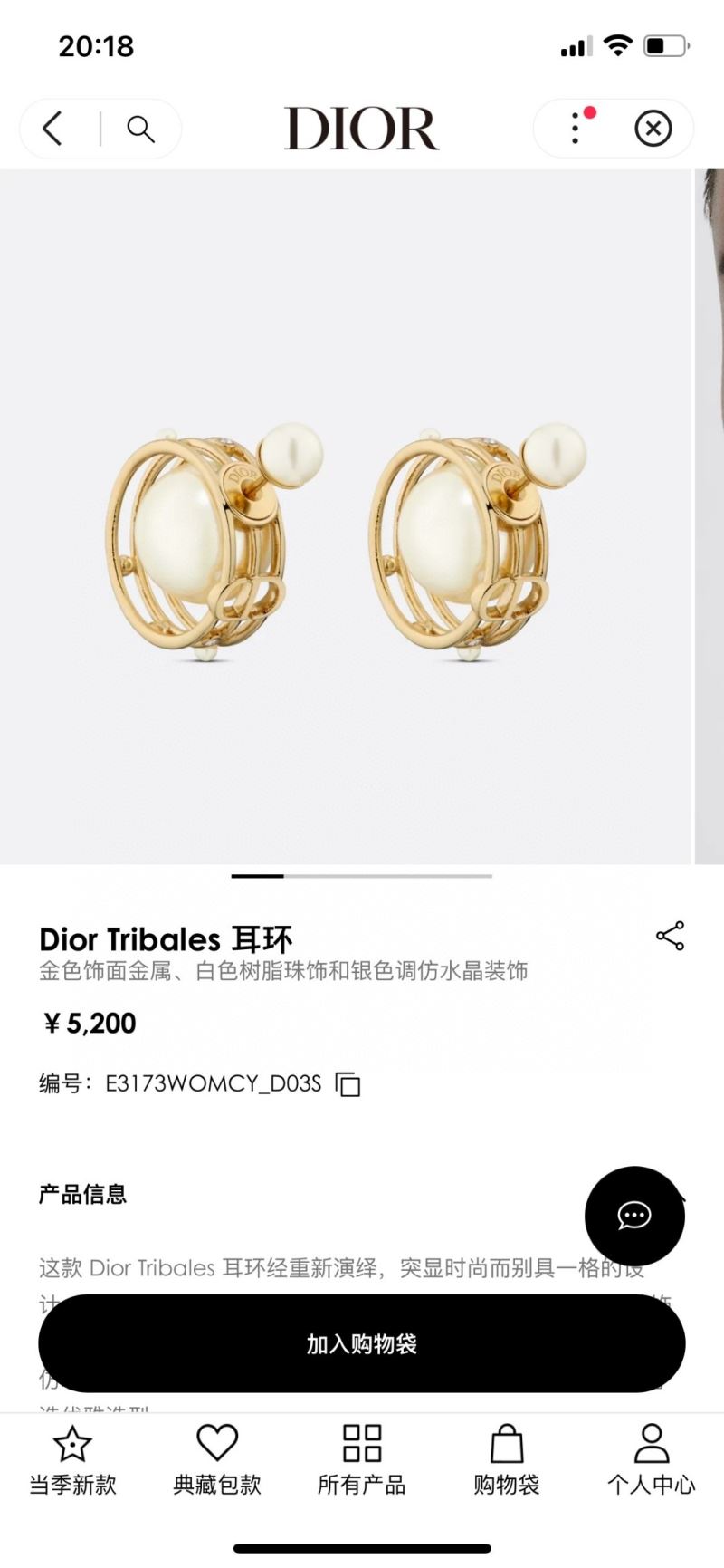 Christian Dior Earrings